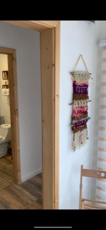 Cabanas El Jardin De Jacinta Coyhaique Dış mekan fotoğraf